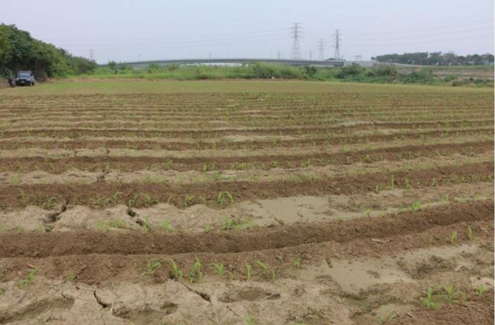 臺南市永康區三民里鹽水溪北岸北邊寮附近農田中發生地表破裂及噴砂現象，約呈N70E至E-W走向，裂隙南側100公尺即為鹽水溪。(根據中央地質調查所, 2016)